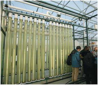 Algae bioreactor for biofuel research