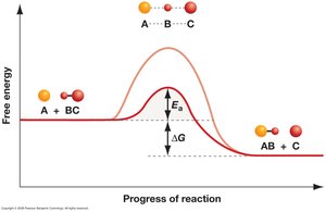 Activation energy with enzyme