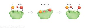 Enzyme-catalyzed reaction steps