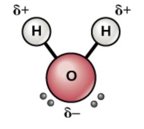 Water and methane geometry