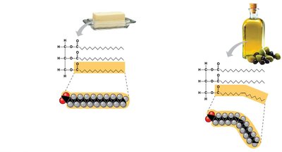 Saturated and unsaturated fat structures
