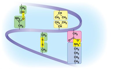 Types of bonds in tertiary structure