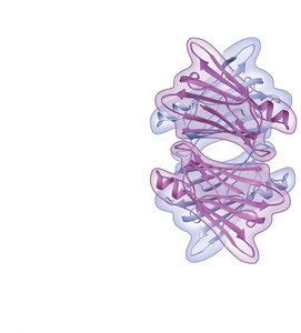 Quaternary structure of a protein