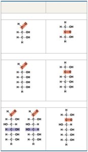 Aldoses and ketoses: classification of monosaccharides