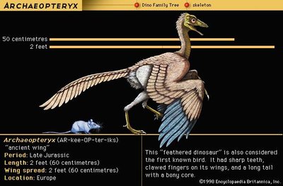 Archaeopteryx illustration and facts