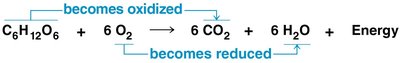 Redox reaction: sodium and chlorine