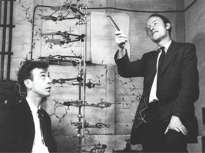 Watson and Crick with DNA model