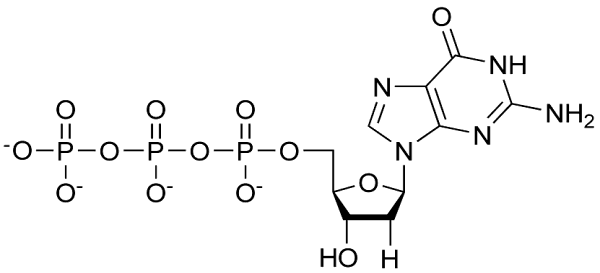Nucleotide triphosphate structure
