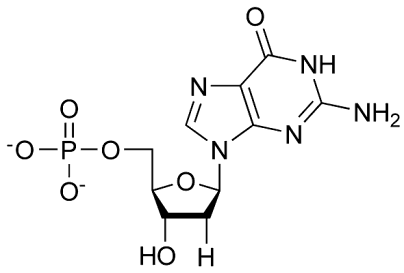 Nucleotide monophosphate structure