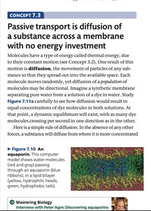 Aquaporin structure and membrane diffusion