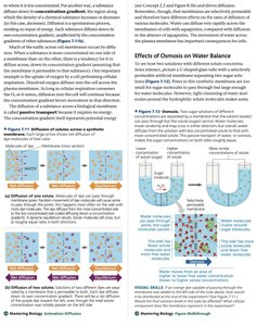 Osmosis and water balance diagrams