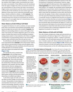 Water balance in animal and plant cells
