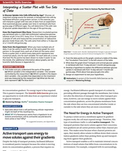 Active transport and energy requirement