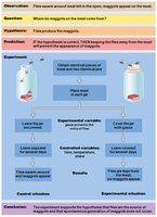 Example of scientific method