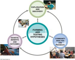 Scientific process is not linear