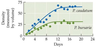 Graph showing niche differentiation over time
