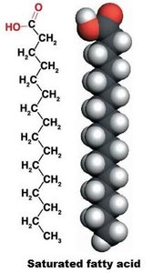 Hydrocarbon chain and carboxyl group