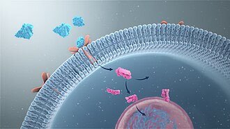 Second messengers in signal transduction