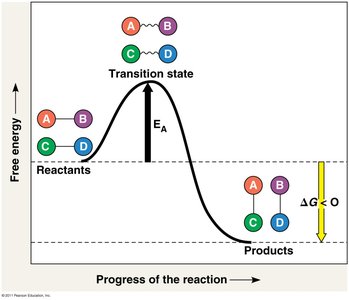 Activation energy and transition state