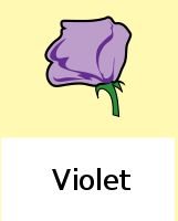 F1 generation: 100% purple flowers