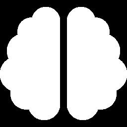 Nervous system divisions
