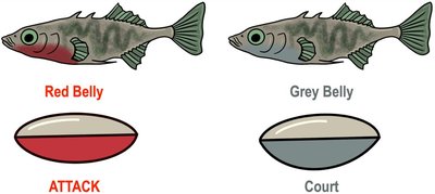 Diagram of fish showing fixed action patterns and sign stimuli