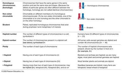 Table of chromosome terminology