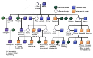 Pedigree of royal families for hemophilia B