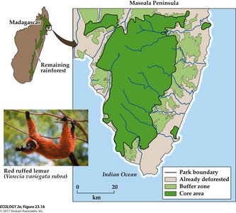 Madagascar Case Study: Map of core nature area, buffer zone, and deforested regions