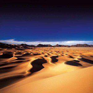 Hot desert landscape