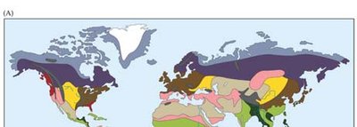 World map of biomes (northern hemisphere)