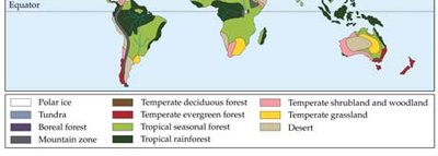 World map of biomes (southern hemisphere)