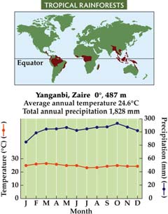 Map and climate graph of tropical rainforests