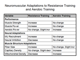 Neuromuscular Adaptations to Resistance Training and Aerobic Training