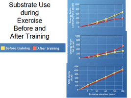 Substrate Use during Exercise Before and After Training