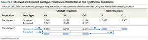 Table showing observed and expected genotype frequencies in butterflies