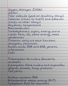 Handwritten notes on elements, water, and macromolecules in biology