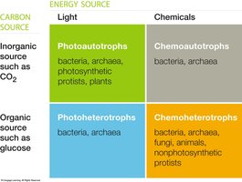Table of prokaryotic nutritional types