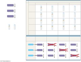 Neurospora mutant analysis table