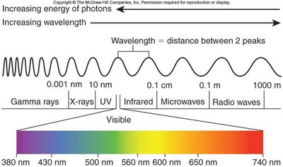 Electromagnetic spectrum and visible light