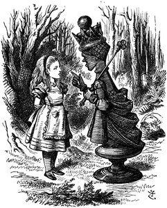 Testing the Red Queen Hypothesis