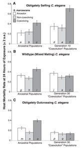 Host mortality rate under different mating systems