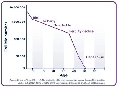 Decline in female potential zygotes with age