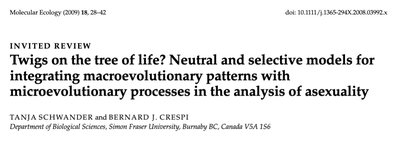 Macroevolutionary patterns in asexuality