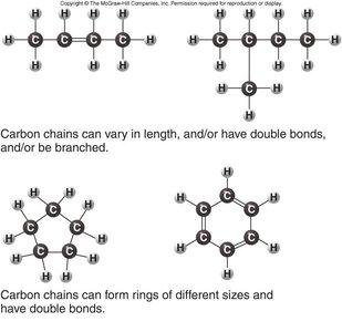 Examples of carbon chain structures: straight, branched, and ring