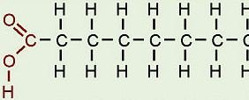 Comparison of estradiol and testosterone structures