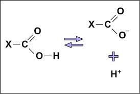 Carbonyl group in acetone and propanal