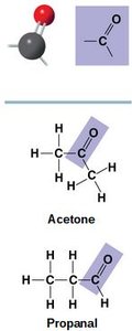 Amino group in glycine