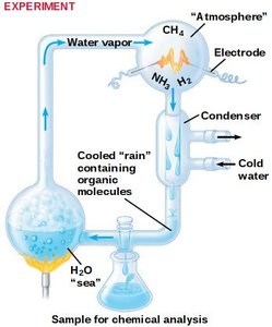 Stanley Miller experiment setup