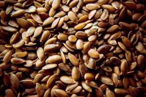 Seed plant life cycle